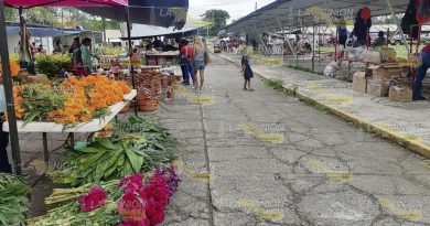 Entre regateos y olor a cempasúchil, inicia plaza de Todos Santos