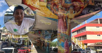 Concluye artista los murales iniciados hace cuatro años en Tuxpan