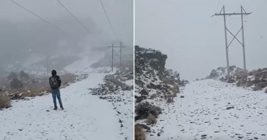 Nieve tapiza el Cofre de Perote