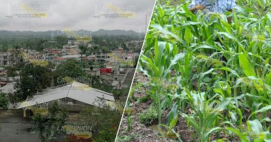 Persisten efectos del huracán Grace; no habrá buena cosecha de maíz