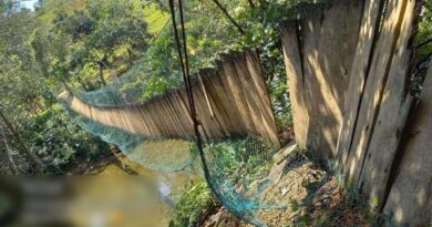Se desploma puente colgante en Las Choapas, Veracruz