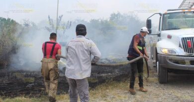 Alarma por incendio de pastizal en Poza Rica