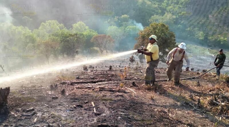 Aumentan incendios por la sequía en Tihuatlán