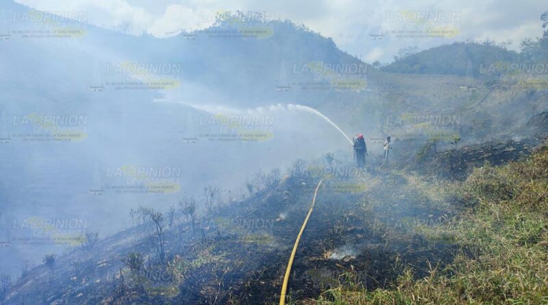 Más de 500 hectáreas consumidas en incendios