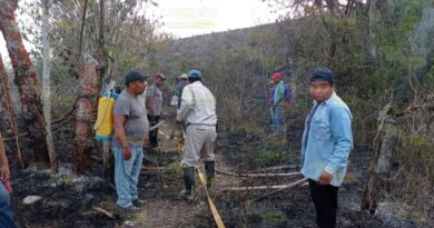 Combaten incendio en Cerro del Carbón en Papantla