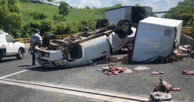 Vuelca camioneta cargada de cárnicos en Autopista Mexico- Tuxpan