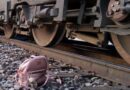 Mujer fallece arrollada por ferrocarril en Tlalnepantla