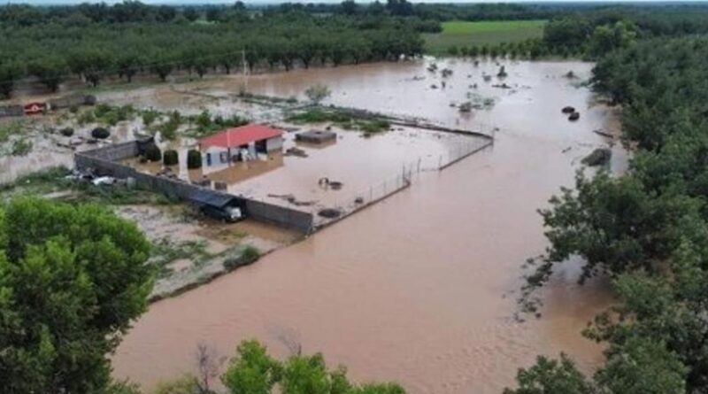 Lluvias en Chihuahua dejan muertes, inundaciones, daños...